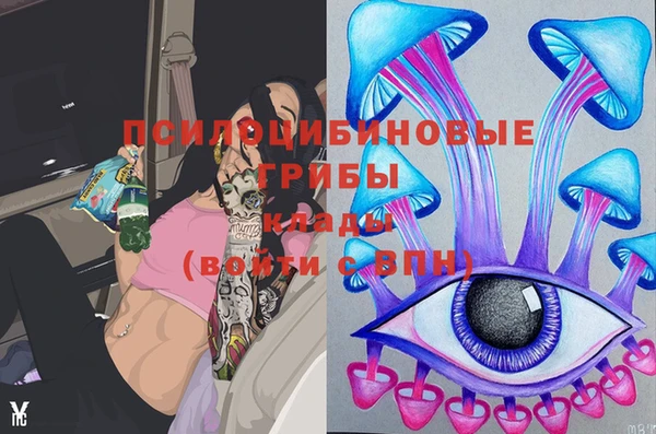 ГАЛЛЮЦИНОГЕННЫЕ ГРИБЫ Братск