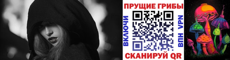 купить закладку  MEGA онион  darknet состав  Пойковский  Псилоцибиновые грибы ЛСД 